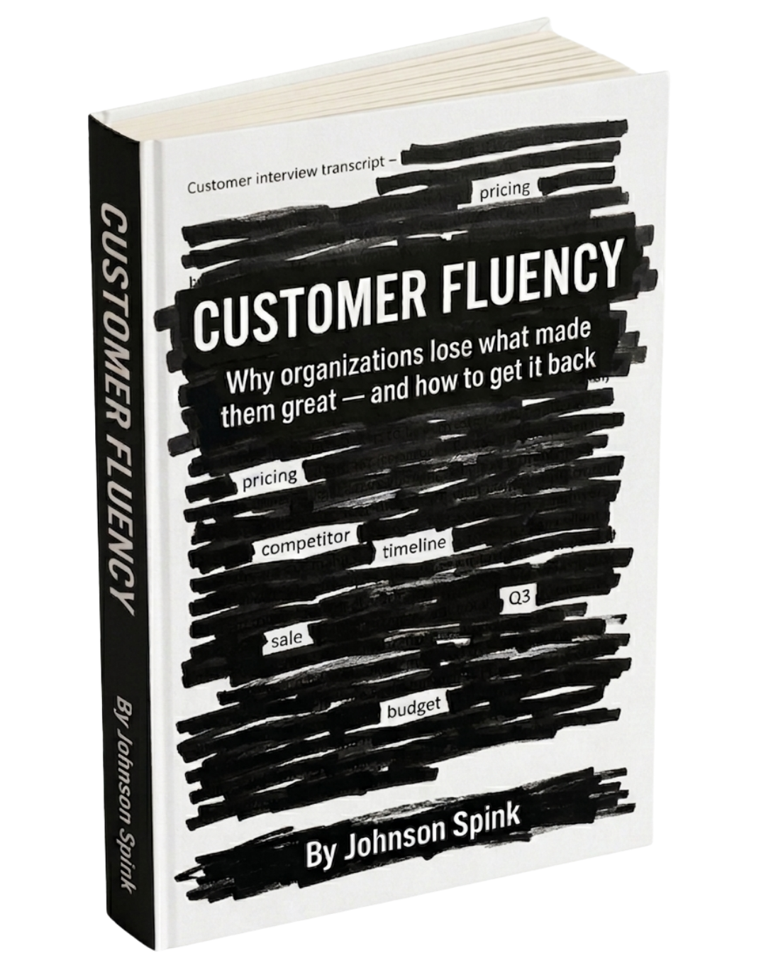 Customer Fluency by Johnson Spink — book cover